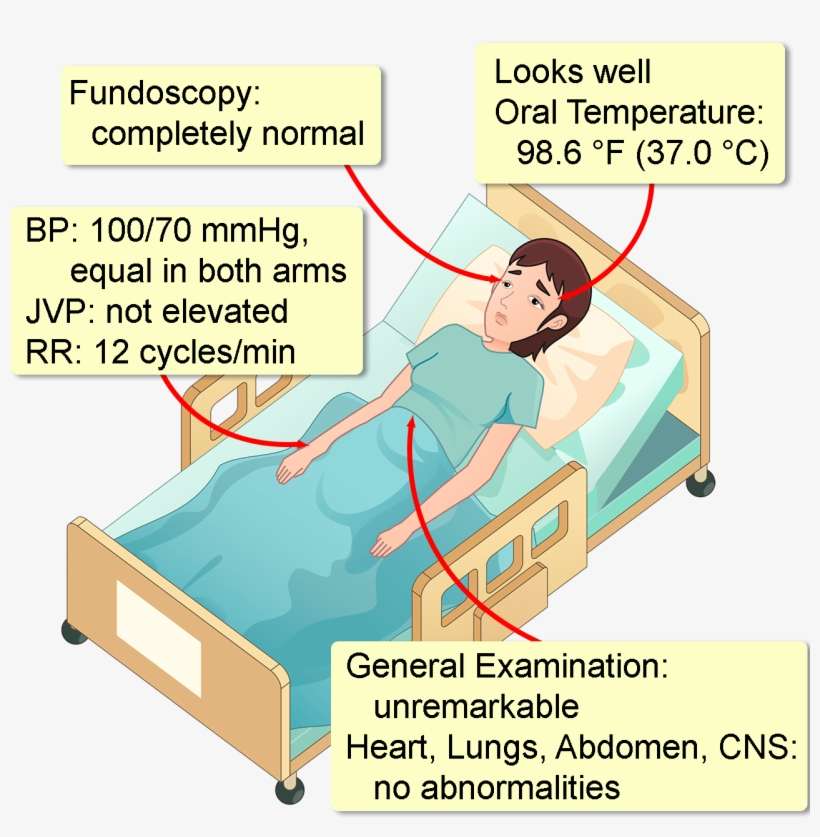 Her Medical, Surgical, And Family Histories Are Completely - Bed Frame, transparent png download