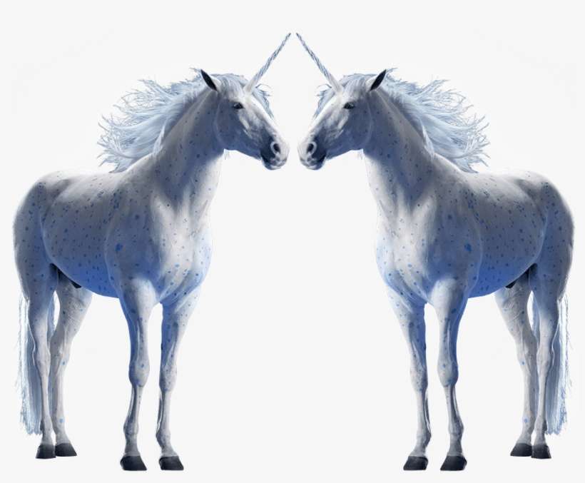 Check With Your Community Curbside Recycling Program - Foal, transparent png download