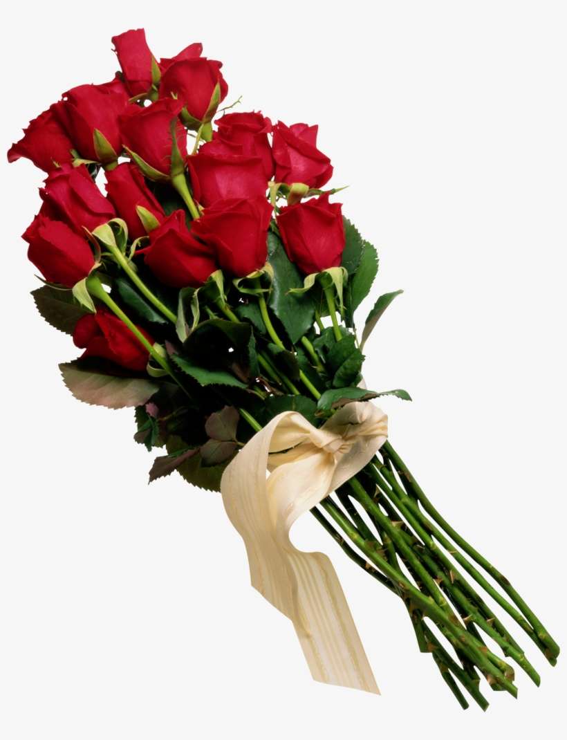 Rose Png, Download Png Image With Transparent Background, - Prometimos No Llorar Cd, transparent png download