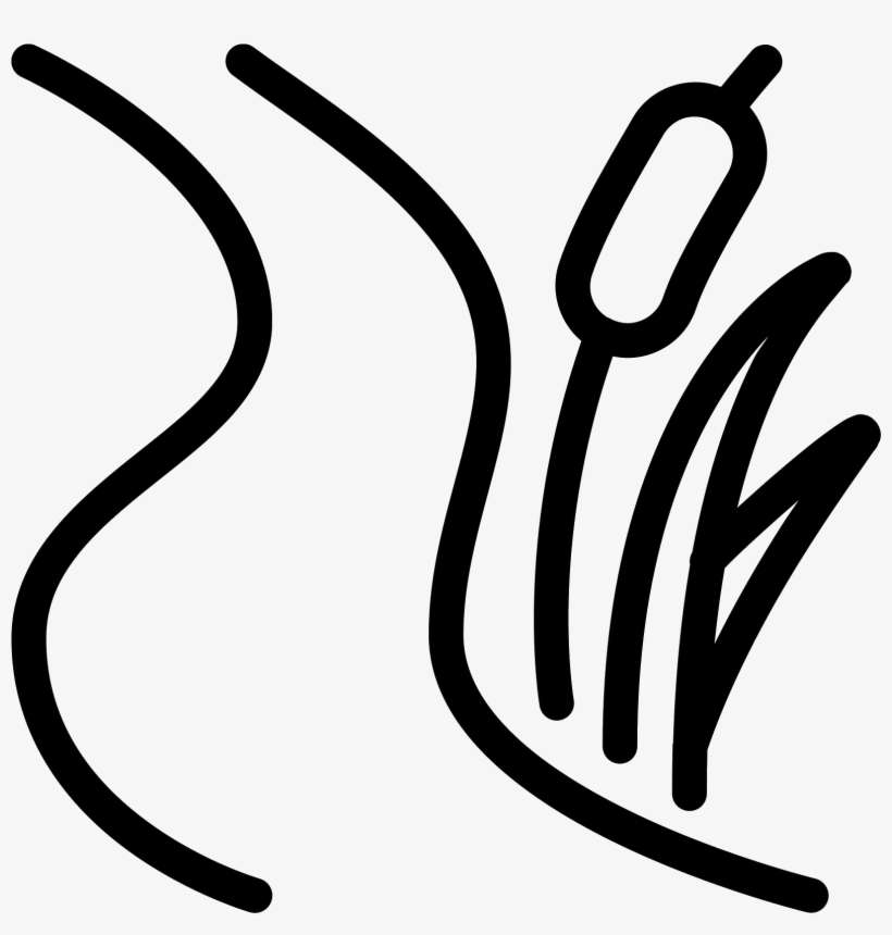 A Winding Creek Next To A Tuft Of Tall Grass And A - Creek Icon, transparent png download