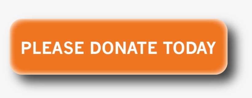 996 X 351 1 - Please Donate, transparent png download