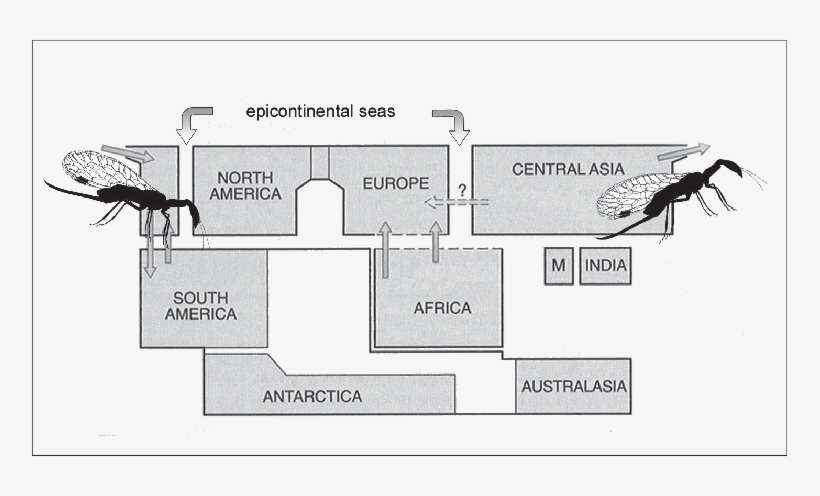 Schematic Graph Of The Late Cretaceous Territories - Diagram, transparent png download