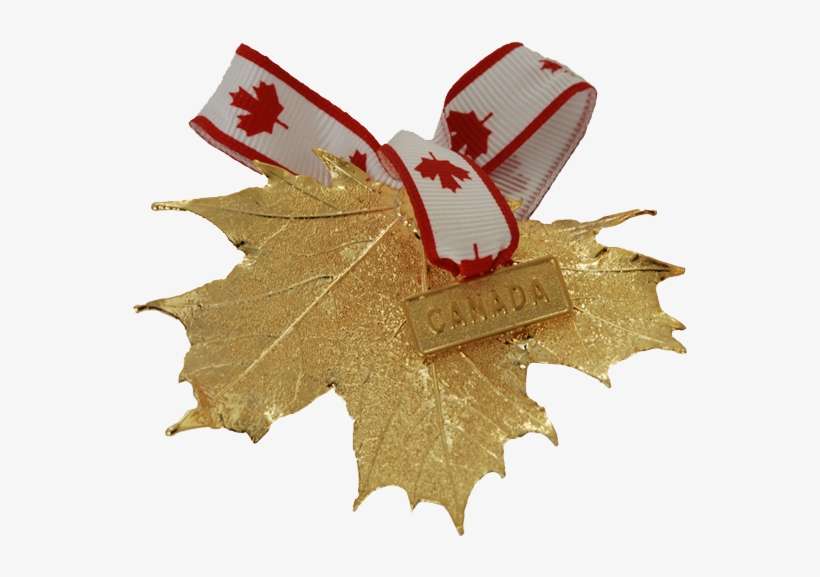 Canada Gold Maple Leaf Ornament - Canada, transparent png download
