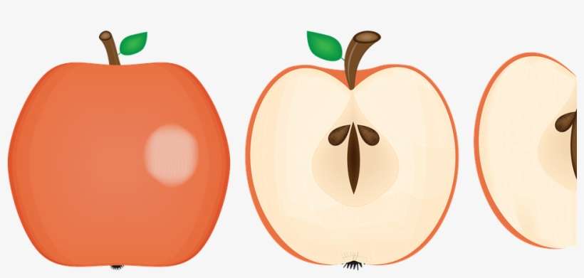 Apple Fruit Food Free Graphic On Pixabay - Food, transparent png download