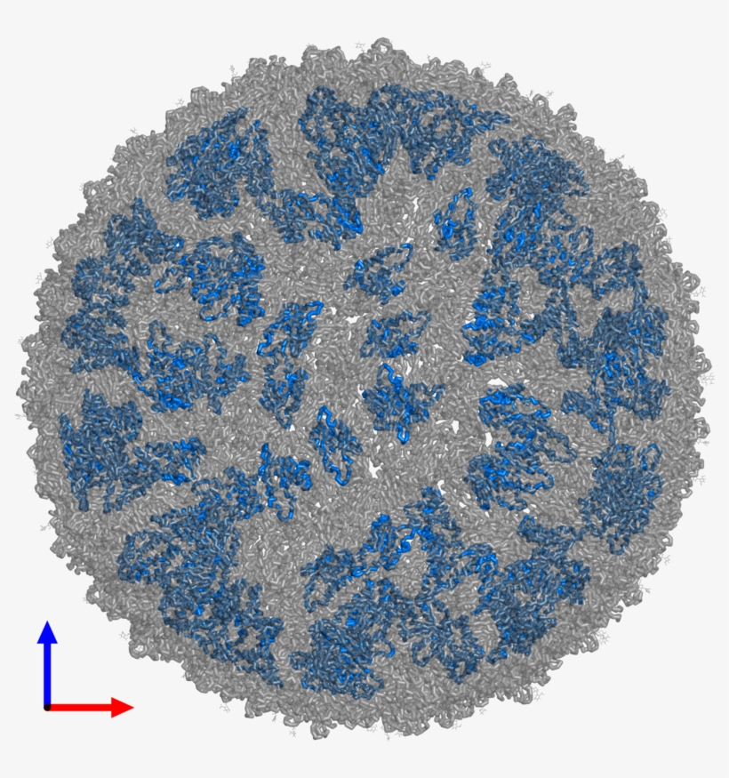 <div Class='caption-body'>pdb Entry 5ire Contains 180 - Circle, transparent png download