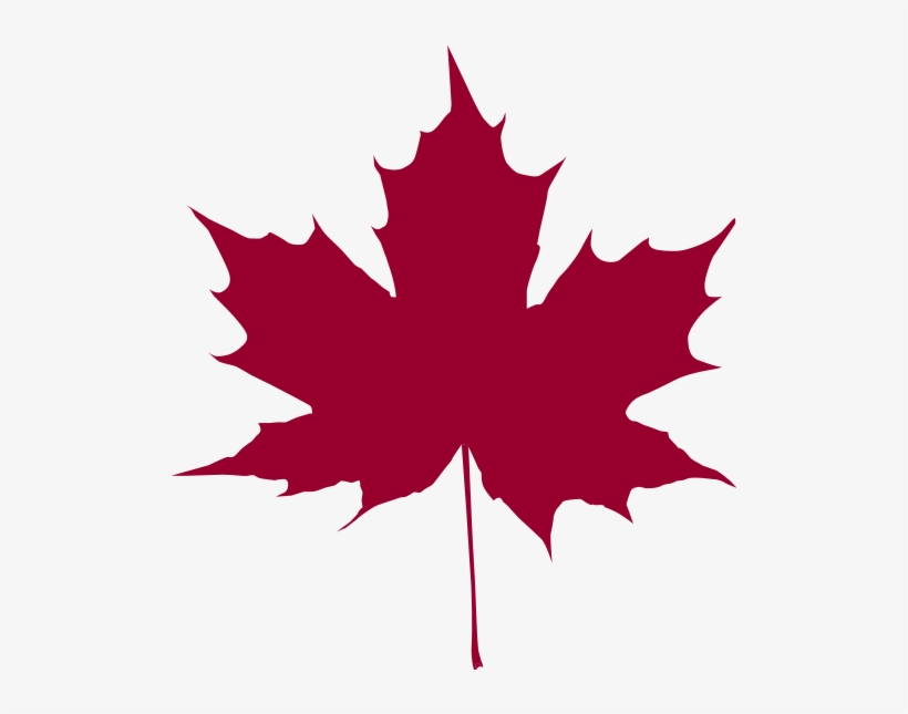 Maple Leaf - Maple Leaf Silhouette, transparent png download