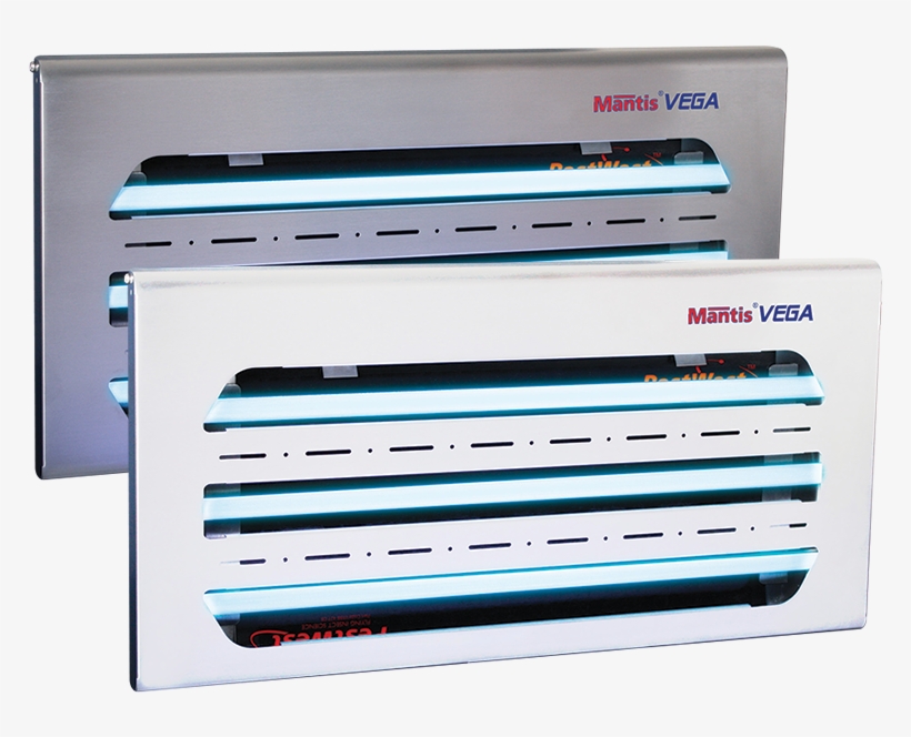 Insectocutor Mantis, transparent png download