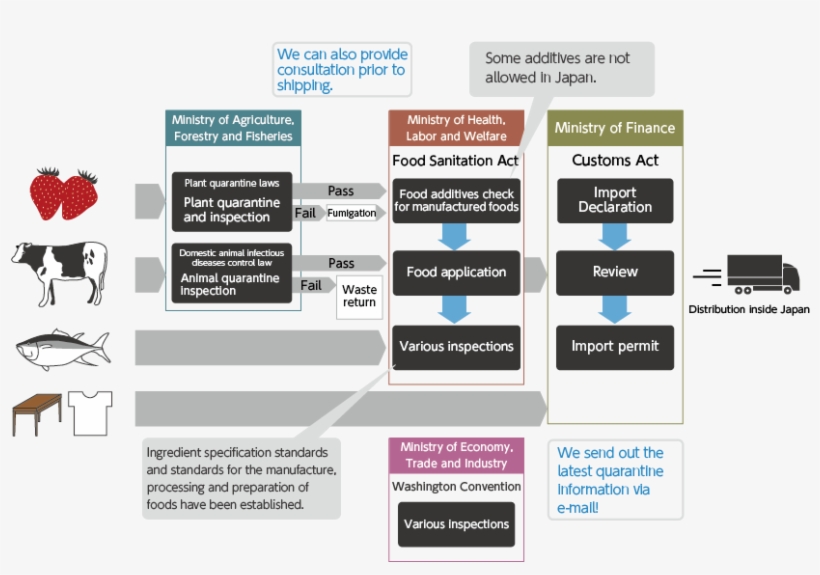 And Customs Clearance Are Required When Exporting And - Japan Import Clearance System, transparent png download
