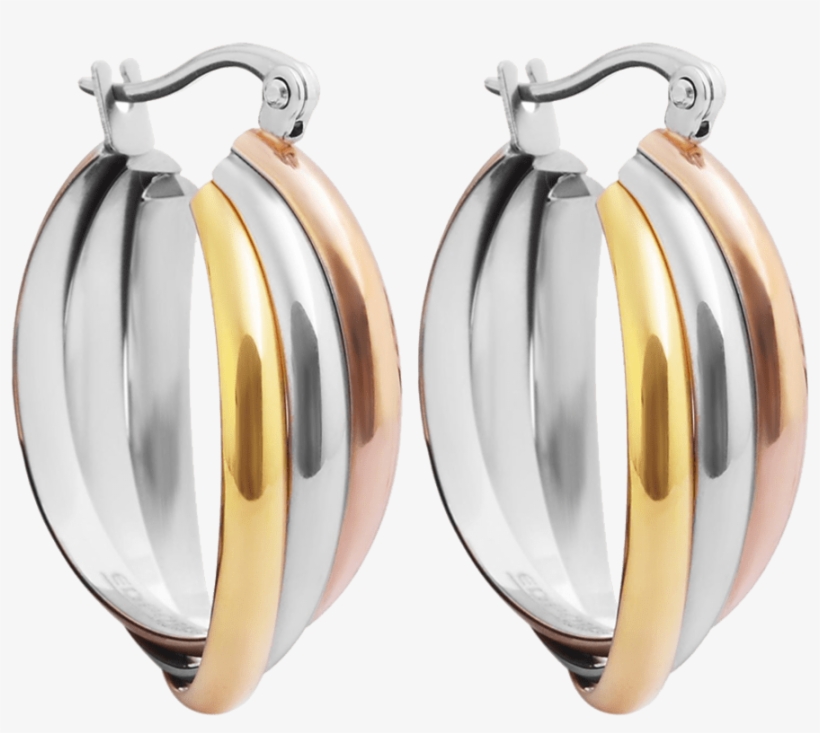 Earrings, transparent png download