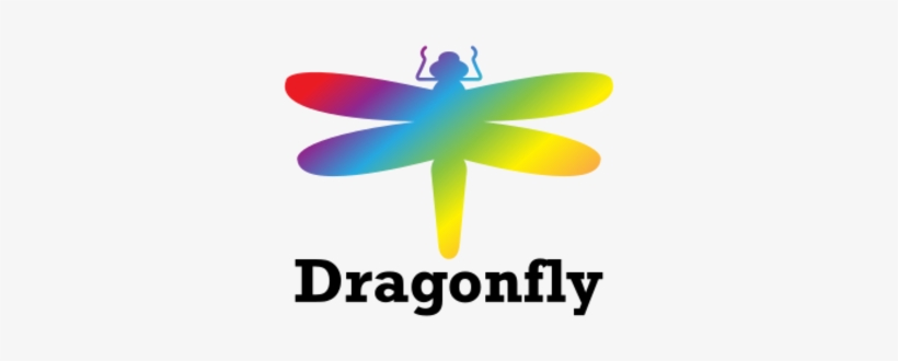What Is The Name Of Your Event - Dragonflies And Damseflies, transparent png download