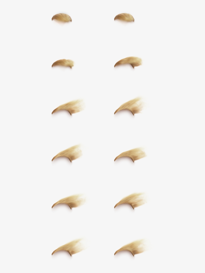 It Seems There Are 16 Sprites - Close-up, transparent png download