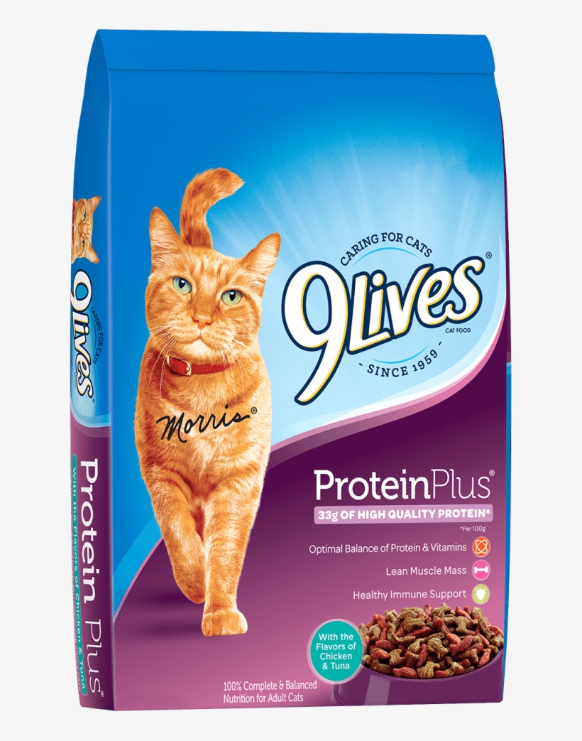 9 Lives Protein Plus Dry Cat Food - 9 Lives Protein Plus, transparent png download