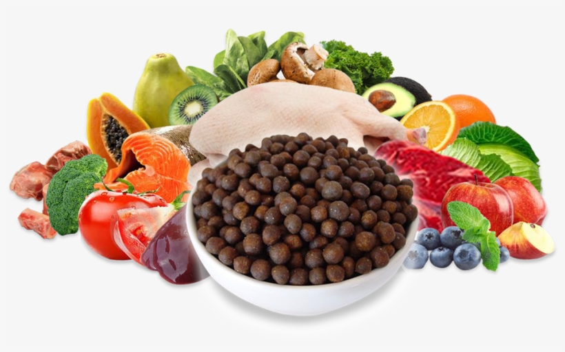 Natural Food For Pet - Natural Foods, transparent png download