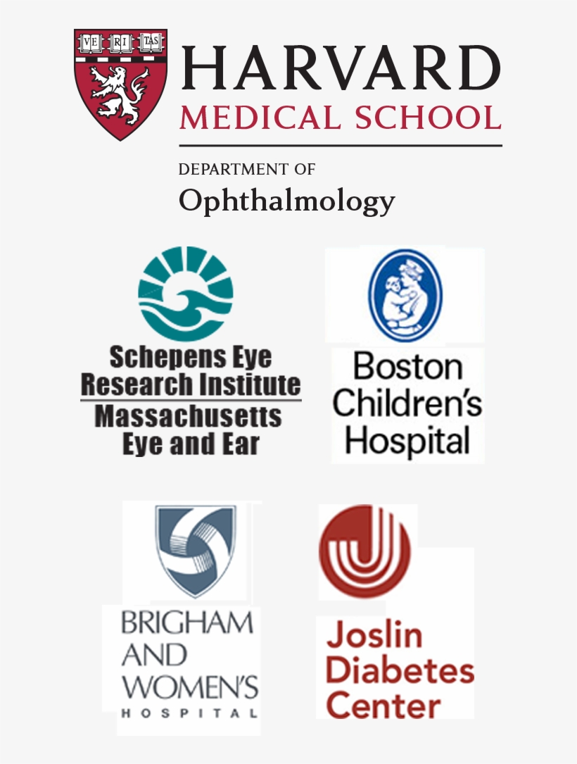 Irtp Banner3 - Harvard Medical School, transparent png download
