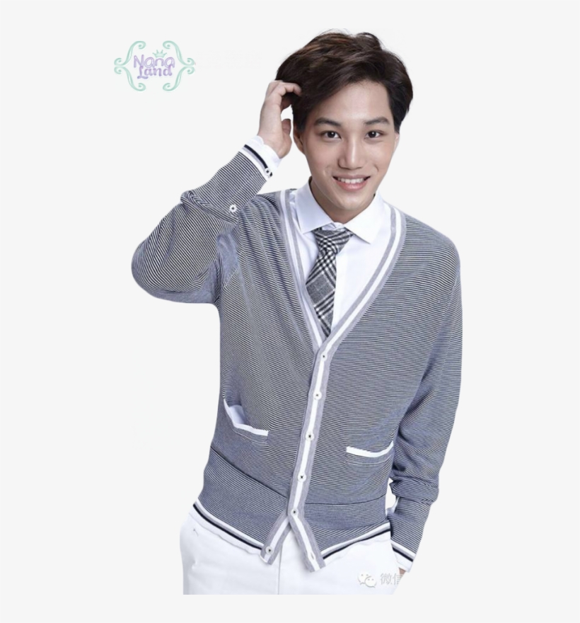 Hétéro Exo Os The Forest Of The Ghost - Kai Exo Kai Png, transparent png download