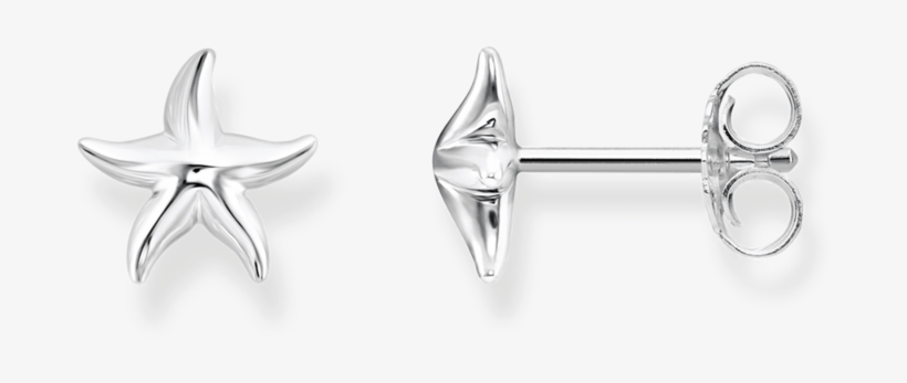 H2001 001 21 Aretes Estrella De Mar - Earrings, transparent png download