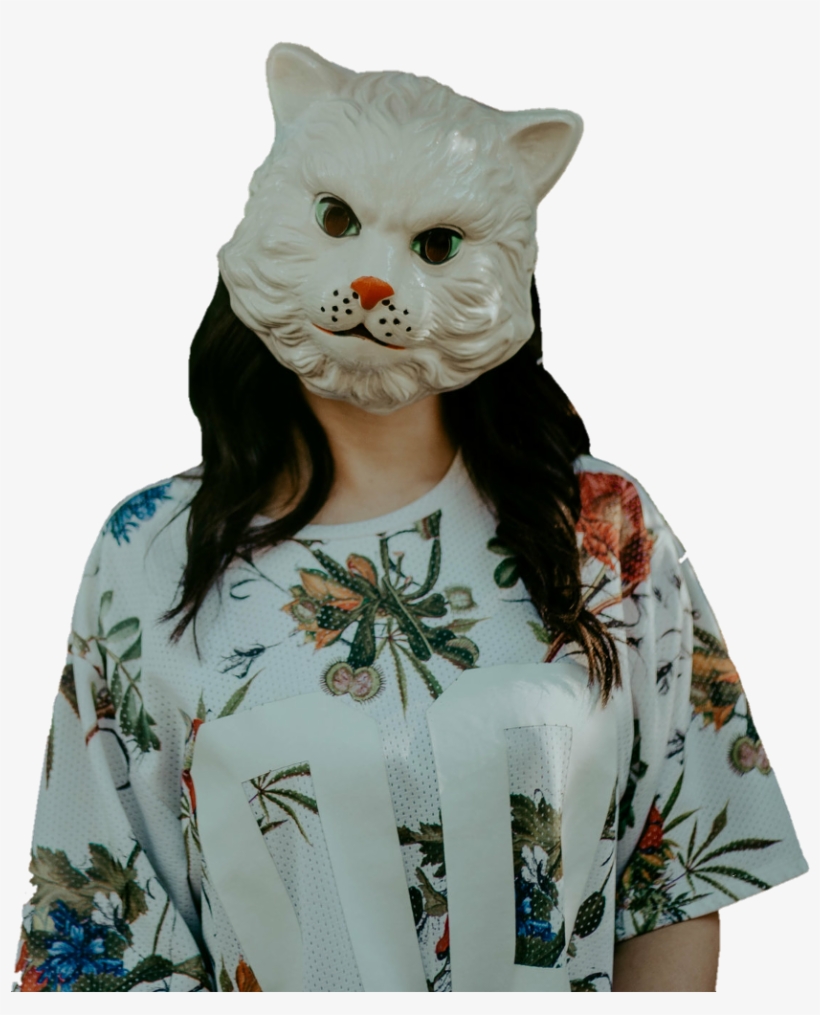 Limbo Sticker - Domestic Short-haired Cat, transparent png download