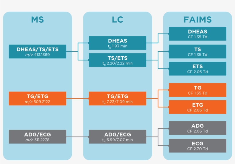 Separating Anabolic Steroid Metabolites With Ultrafaims - Number, transparent png download