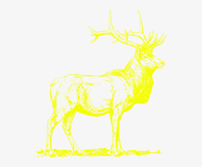 Small - Golden Stags Png, transparent png download