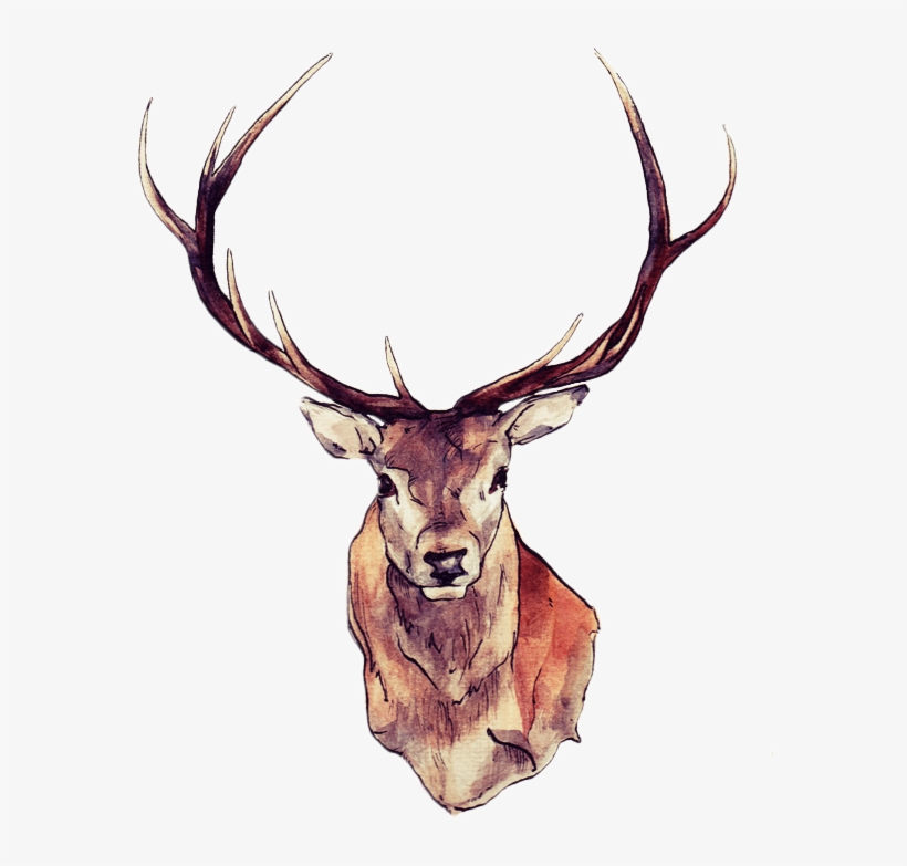 Thumb Image - Deer Png, transparent png download