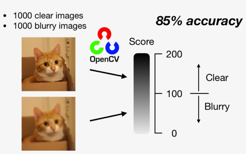 All Images With A Score Higher Than 100 Are Predicted - Deep Learning Blur Detection, transparent png download