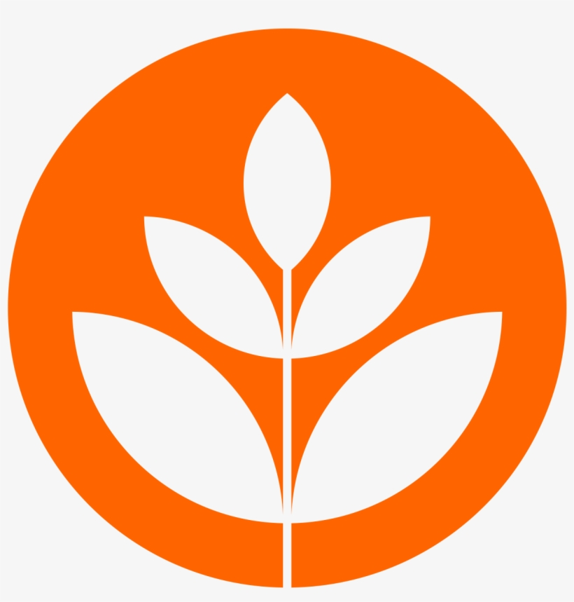Logo - Brand New School Logo, transparent png download
