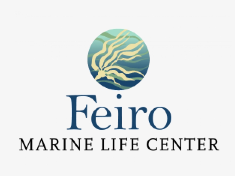 Feiro Marine Life Center - Feiro Marine Life Center Port Angeles, transparent png download