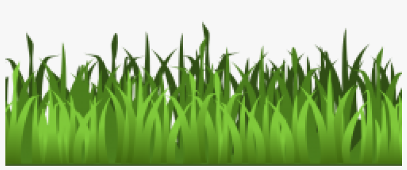 Green Grass Clip Art Meadow Green Grass Clipart Isolated - Transparent Background Grass Clipart, transparent png download