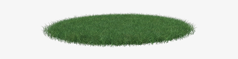Lawn, transparent png download