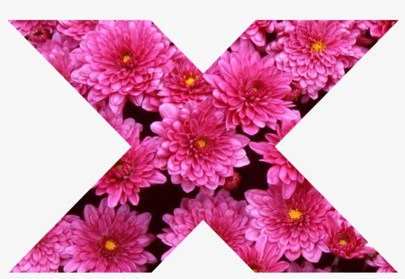 Girly Tumblr Transparent Flowers Gardening - Flowers, transparent png download