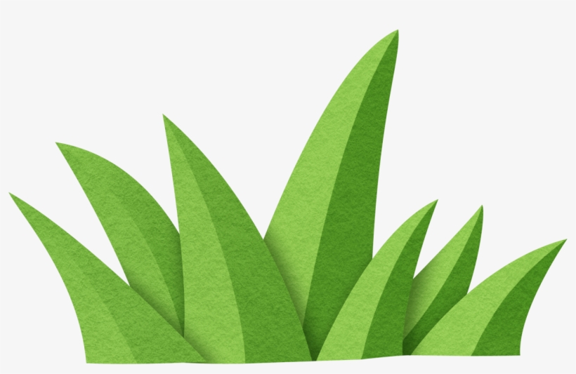 B *✿*land Of Dreamszzzz - Sabal Minor, transparent png download