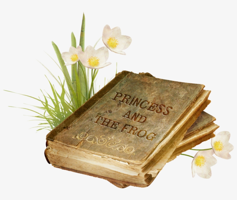 Thumb Image - Narcissus, transparent png download