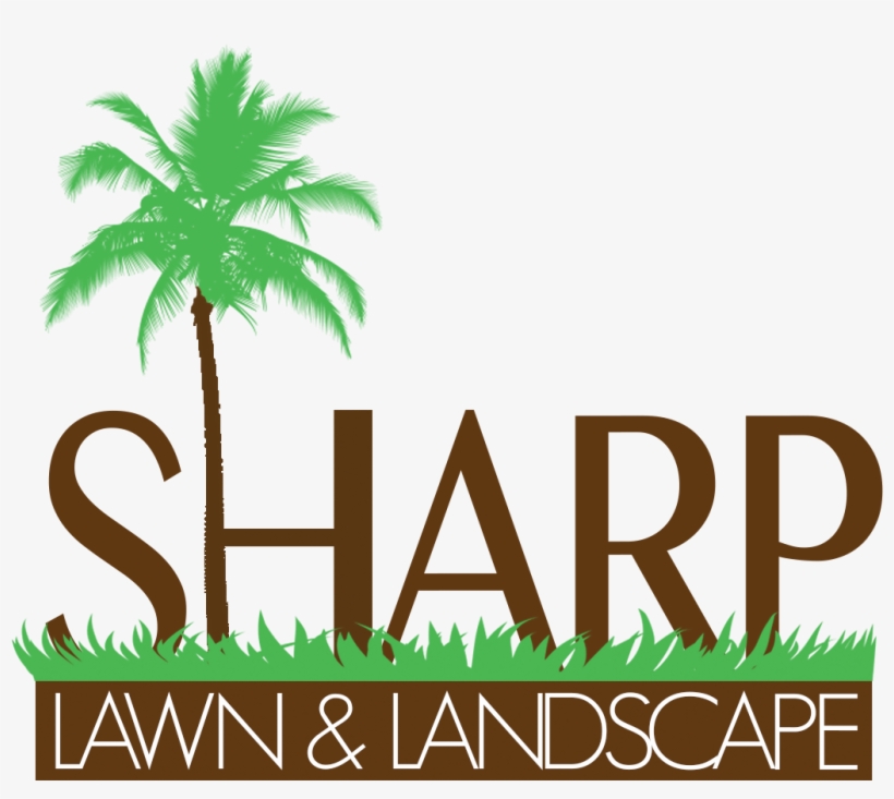 Sharp Lawn & Landscape - Attalea Speciosa, transparent png download