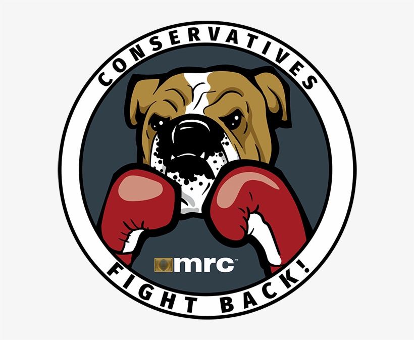 Advertises On These Shows - Boxer, transparent png download