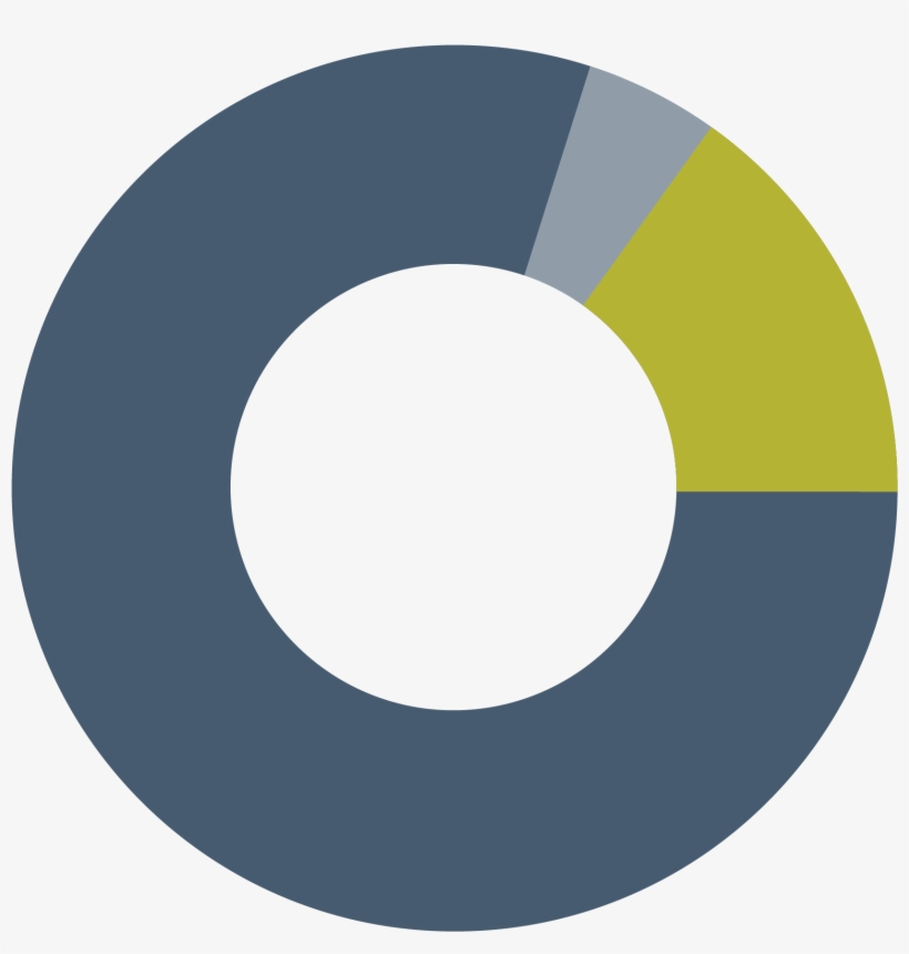 80% Of World Impact's Revenues Go To Programs That - Circle, transparent png download