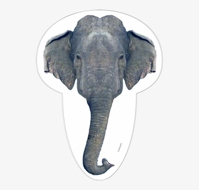 Ief Mask2 2015 - Indian Elephant, transparent png download