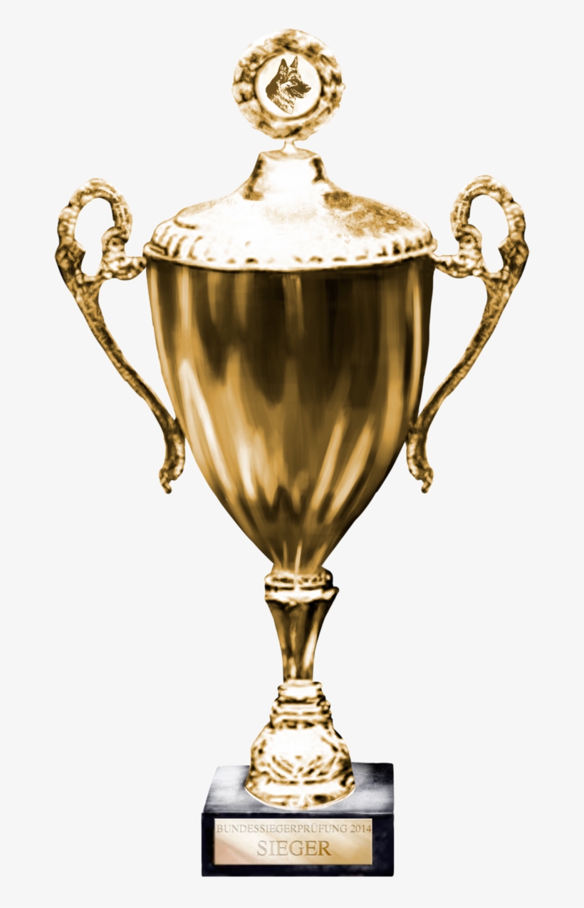 Png Image Information - Trofeos De Pastor Aleman, transparent png download
