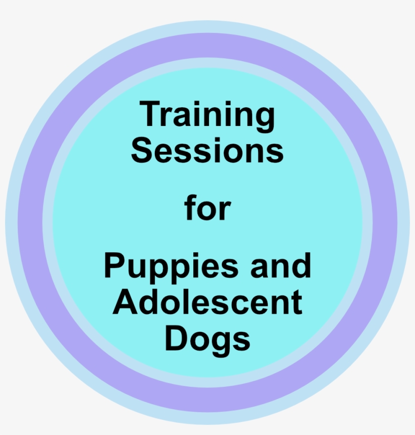 Training For Puppies And Adolescent Dogs - Lico Leasing, transparent png download