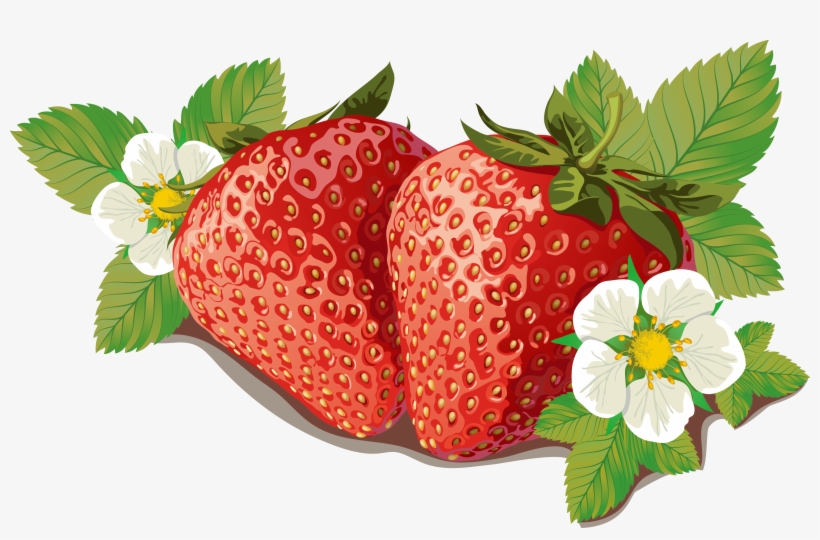 Strawberry Vector - Background Png Vector Of Strawberry, transparent png download