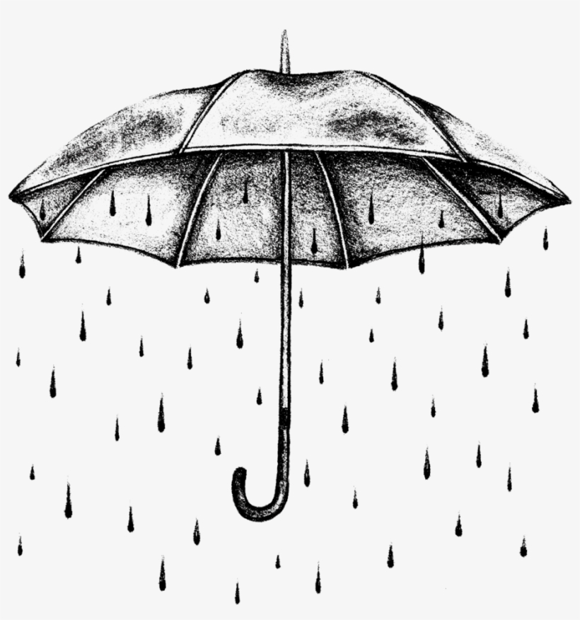 Homepage - Umbrella, transparent png download