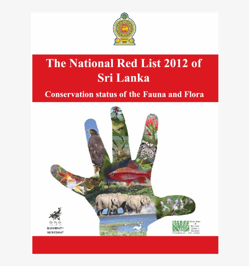 Pdf - Illustration, transparent png download