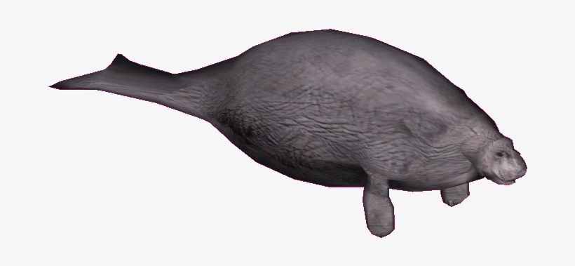 Ossc - Humpback Whale, transparent png download