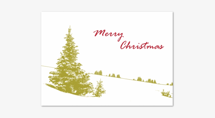 Tree In Show Holiday Greeting Card - Christmas Tree, transparent png download