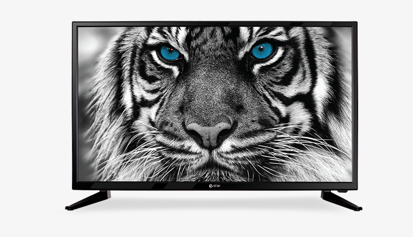 Estar Led Tv - E Star Tv, transparent png download