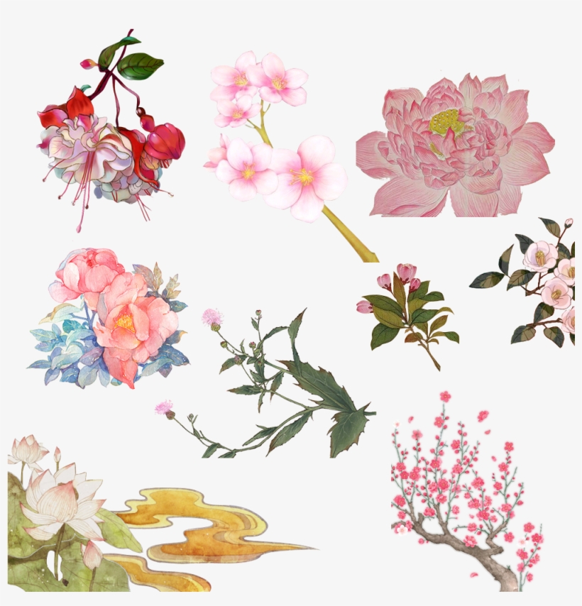 梅花菊花荷花 - Garden Roses, transparent png download