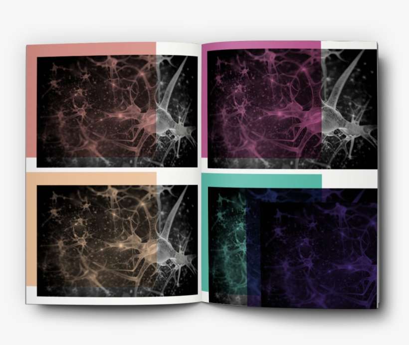 Graphic System For Editorial Mundo A Latin American - Leadership And The City: Power, Strategy And Networks, transparent png download