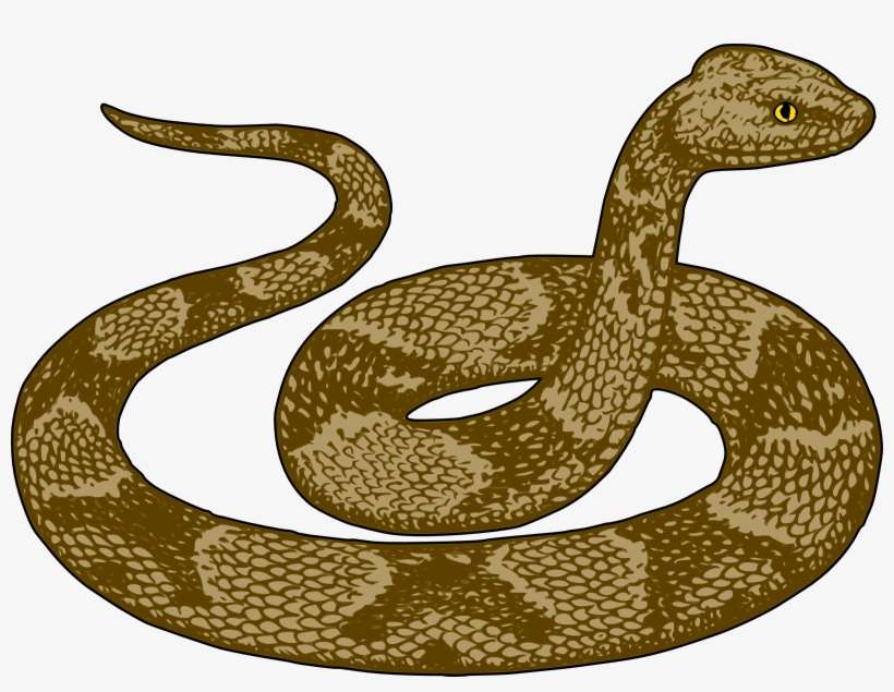 Transparent Snake Top - Snake Clipart, transparent png download