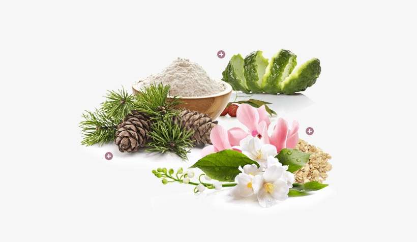 Creating The Perfect Fragrance - Bella Mystique, transparent png download