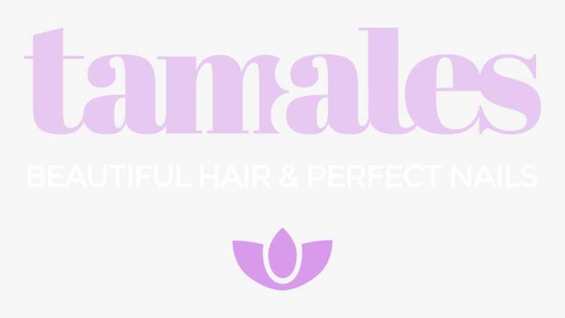 Hair Salon In Point Loma - Logo De Tamales Png, transparent png download