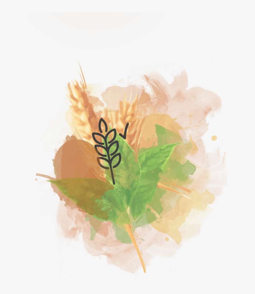 Green Tea - Insect, transparent png download